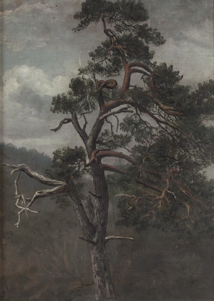 Pino - Stavanger kunstmuseum